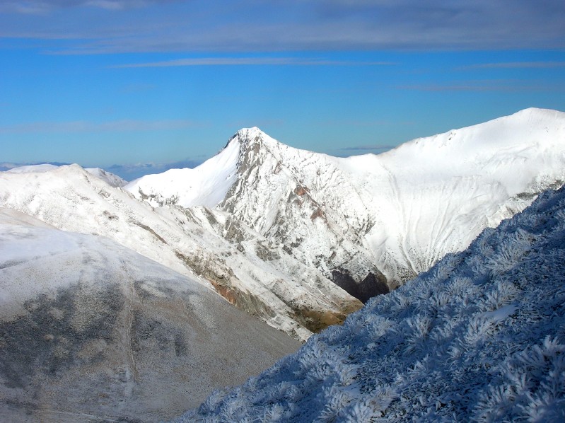 Ricami d'inverno